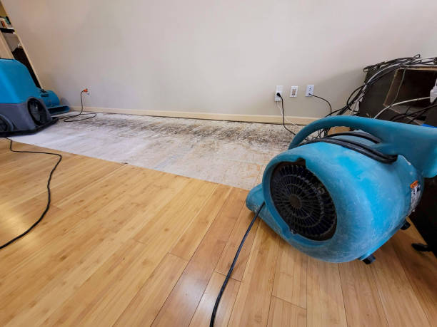 Professional Water Damage Repair technician working in San Ramon, CA